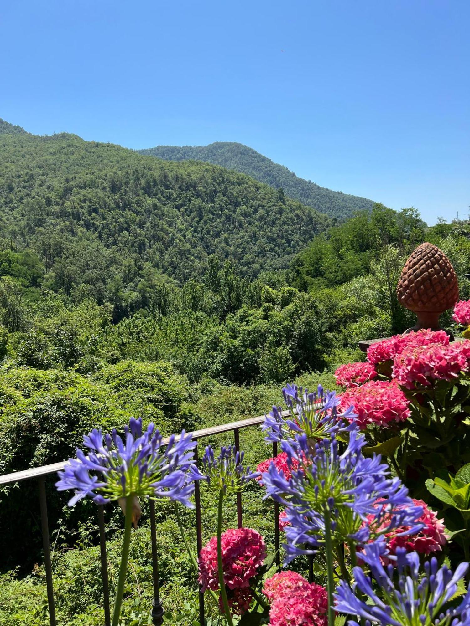 Casa Boru - A Beautiful Fully Restored Spacious House With Fantastic Views Calice al Cornoviglio Экстерьер фото